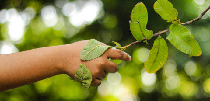 Environnement