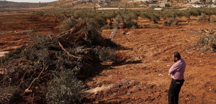TOPSHOT-PALESTINIAN-ISRAEL-CONFLICT-AGRICULTURE-LAND