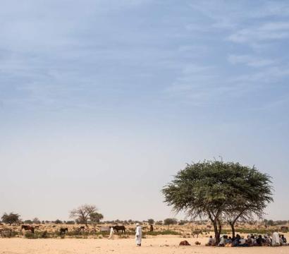 Tchad