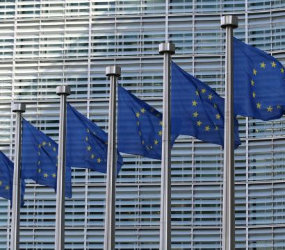 Drapeaux de l'Union européenne