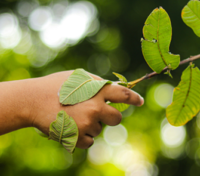 Environnement